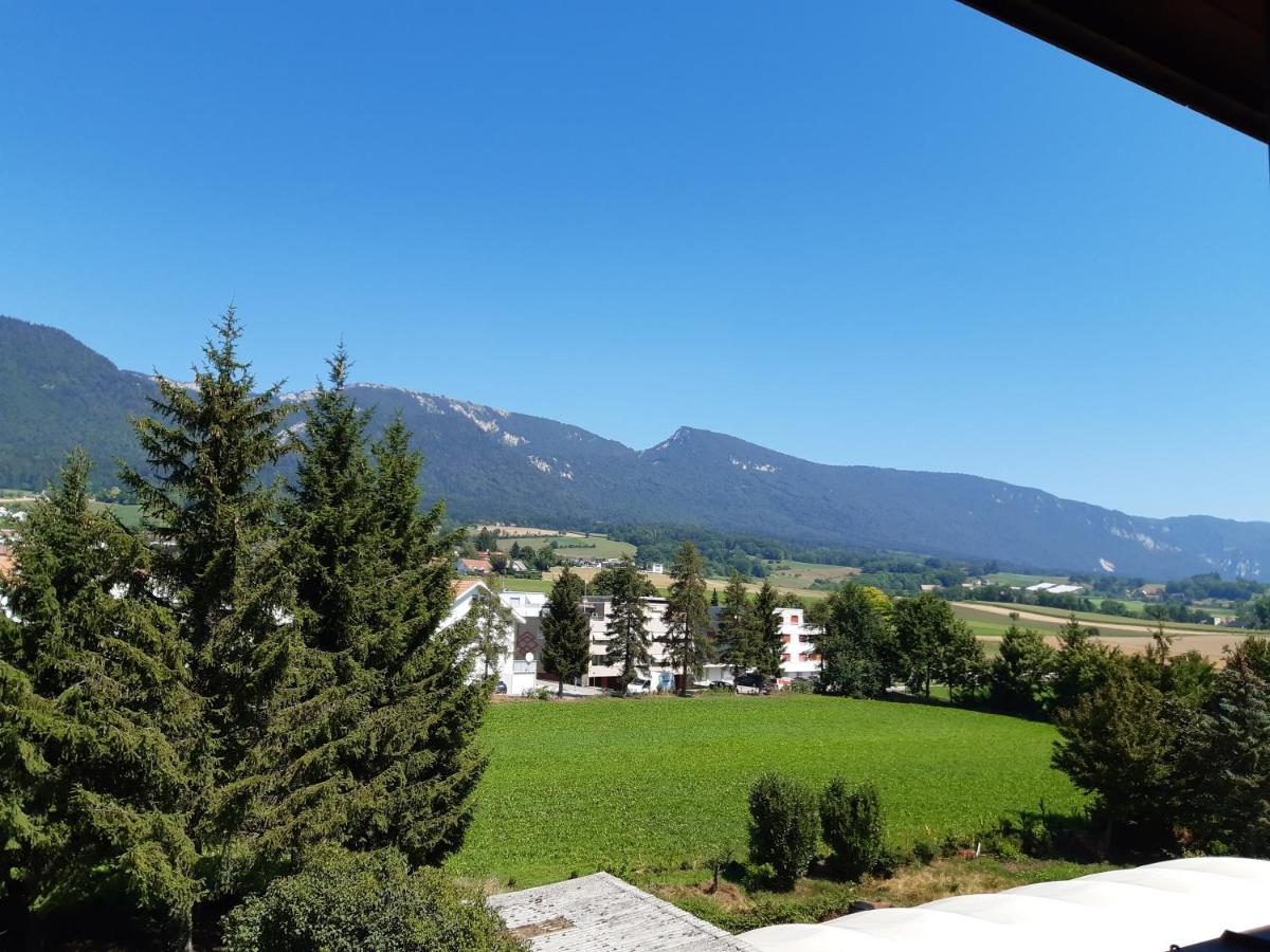 Hotel Urs Und Viktor Bettlach ภายนอก รูปภาพ